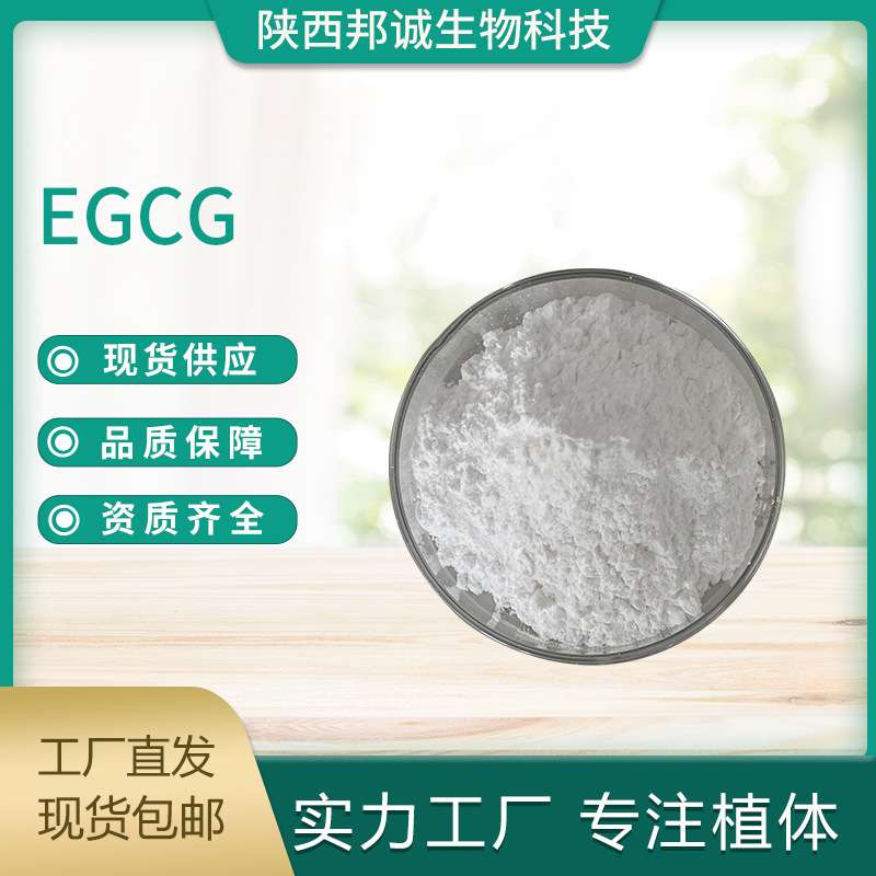 EGCG 98% 表没食子儿茶素没食子酸酯 绿茶提取物 现货