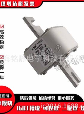 170M6193170M6194170M6195170M6196巴斯曼170M6197熔断器现货