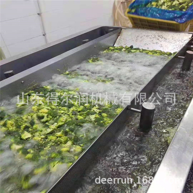 2020农村创业新模式保鲜蔬菜加工设备速冻蔬菜清洗漂烫流水线