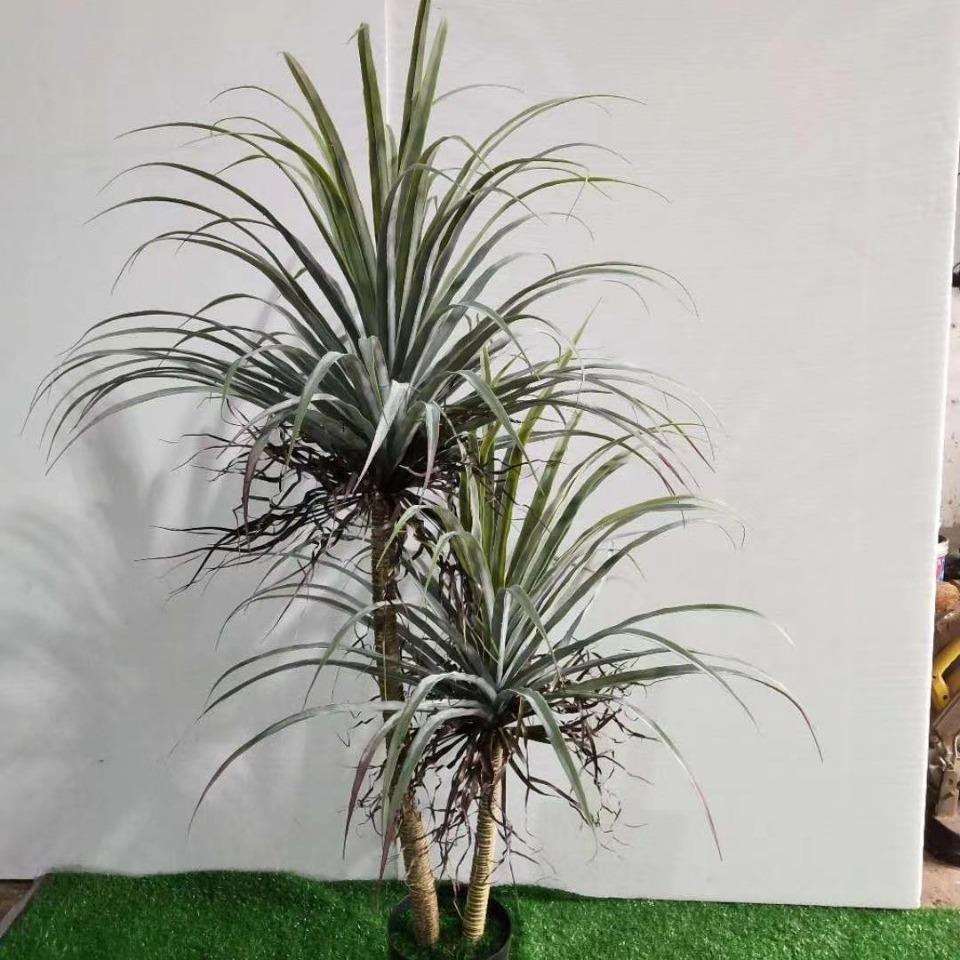 外贸仿真龙血树仿真龙须木盆景仿真龙血兰盆栽血树绿植