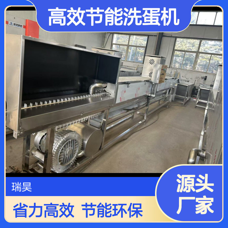 鸡蛋清洗设备 鸭蛋清洗 烘干 鸡蛋保洁设备 鸡蛋杀菌喷油设备厂家