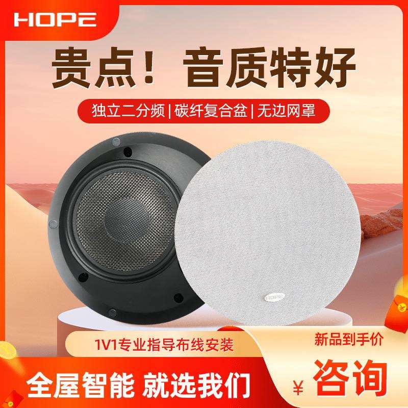 向往HS888重低音超薄65mm智能背景音乐吸顶音箱天花吊顶喇叭音响