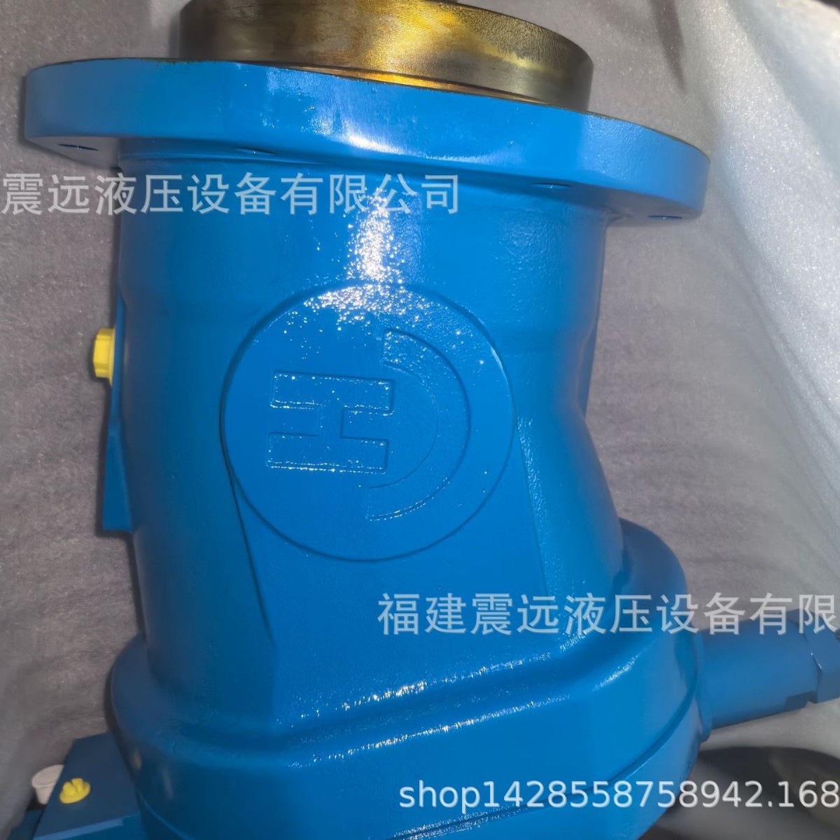 Tsuji克令吊液压马达A6V500HD6.2FZ-2091-995-1船舶液压泵