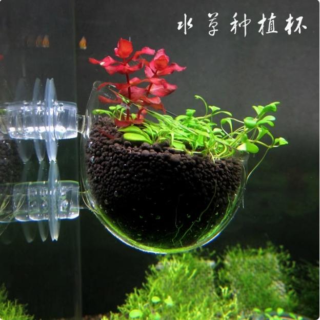 水草飼育造景盆缸內型玻璃水草