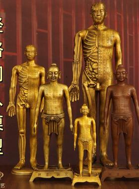 纯黄铜针灸铜人体模型中医馆装饰可定制诊所药房摆件穴位人铜摆件