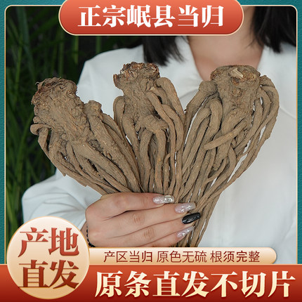 当归头片500g中药材野生特级正品粉甘肃岷县非党参黄芪特级野生