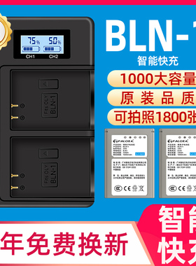 CITYORK 相机电池BLN1适用奥林巴斯EM1 EM5 M2 EP5 EM5 PEN-F E-M5 Mark IIUSB座充双充 充电器套装