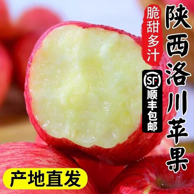 正宗陕西洛川苹果水果新鲜