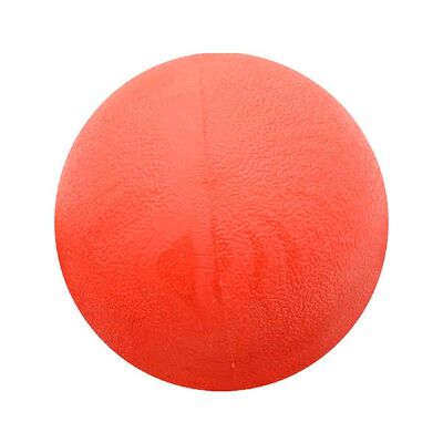 极速Cleaning Teeth Fetch Solid Rubber BJall Chase Training S