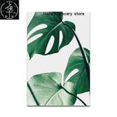 Monstera MLeaf Deliciosa 极速Nordic Green Plant Turtle Back