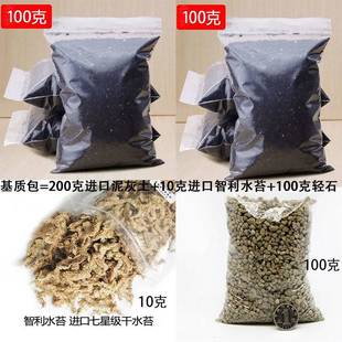 极速生态a瓶制作材料办公室生态瓶材料微景观玻璃瓶套装苔藓植物