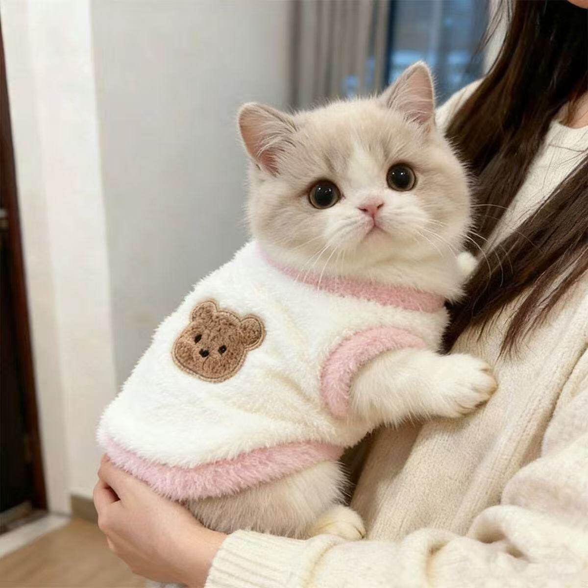 秋冬加厚保暖猫狗连帽衣服
