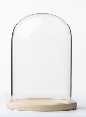 极速蝴蝶 标本展示盒植物防尘罩岩石O矿物矿石标本盒玻璃