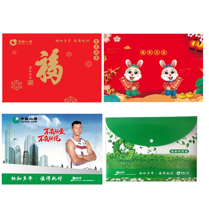 极速中国人寿保险国寿保单袋资料袋塑料拉扣式Q保单封套文件袋满