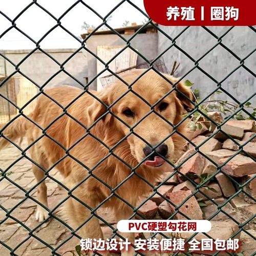 极速封边款包塑铁丝网围栏勾花网养鸡F防护网养狗护栏网隔离栅栏