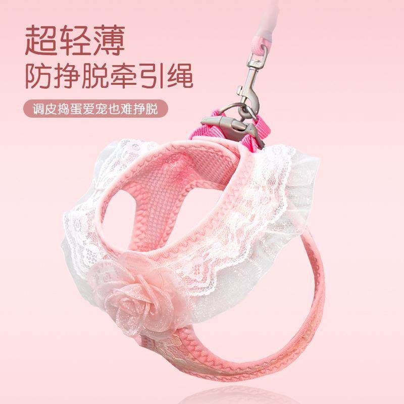 猫咪牵引绳防挣脱外出专用遛猫绳溜猫链子宠物胸背带猫绳子小型犬,宠物/宠物食品及用品,猫牵引绳,淘宝优惠券,粉丝福利购,淘宝优惠卷
