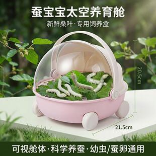 学生养蚕套装盒蚕太空养育舱展示新鲜桑叶蚕卵幼虫专用饲养盒