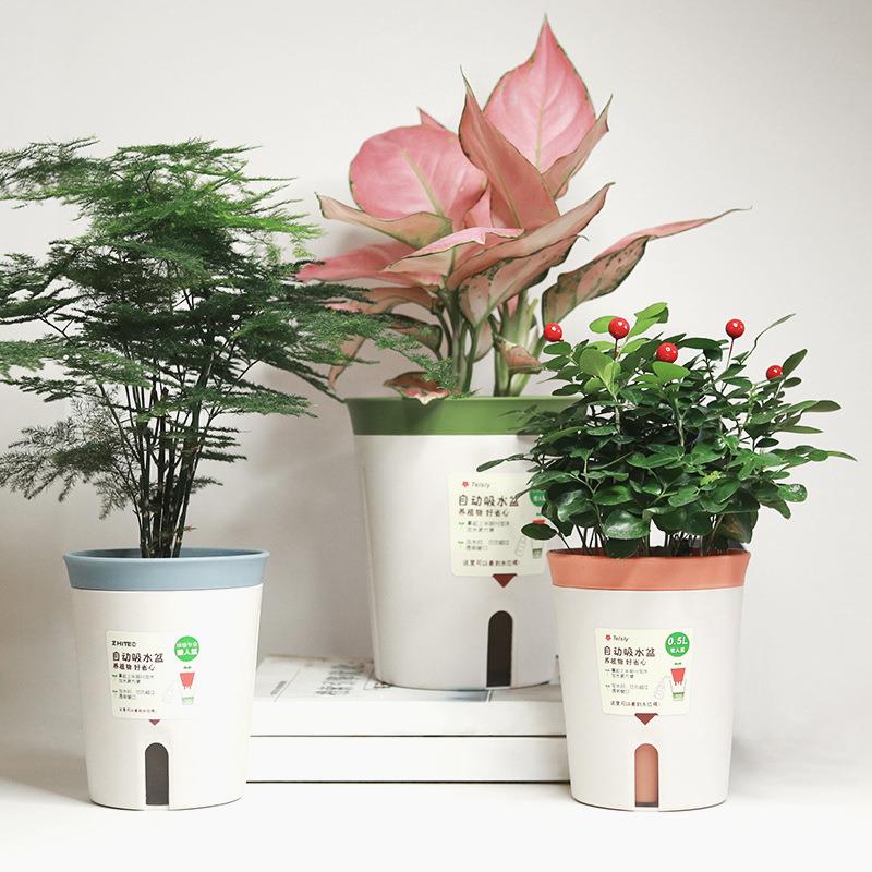 家用懒人花盆自动吸水盆 圆形桌面绿萝植物花卉盆栽塑料蓄水盆