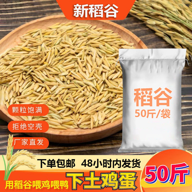 带壳稻谷饲料10斤喂鸡鸭鹅鸽子鸟食圈养禽类新原粮宠物50斤包邮