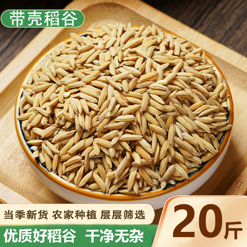 农家水稻谷子带壳大米新稻谷喂鸡鸭鹅仓鼠鸽鸟宠物饲料酿酒杂粮食,畜牧/养殖物资,饲料原料,淘宝优惠券,粉丝福利购,淘宝优惠卷