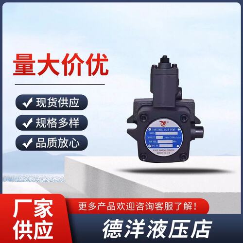 仙居永灵YLC叶片泵VP2-30-20/VP2-30-35/VP2-40-20/VP2-40-70油泵