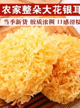 大花银耳新货古田干货特产级银耳净重新鲜白木耳糯雪耳莲子红枣羹