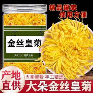 金丝皇菊黄菊一朵一杯 大朵黄菊花茶婺源 黄山贡菊花草茶罐装