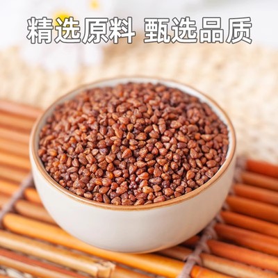 黑苦荞四川大凉山非特级大麦茶正宗麦香型正品官方旗舰店黑苦荞茶