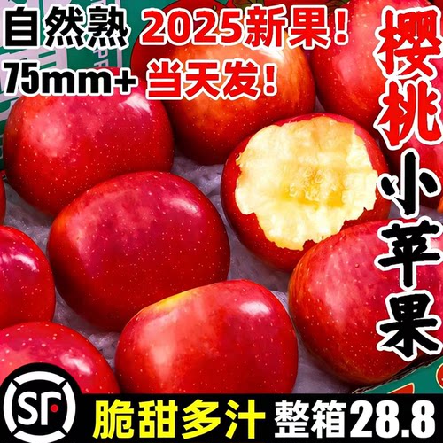 云南樱桃小苹果礼盒5斤当季新鲜水果红露富士红苹果脆甜多汁