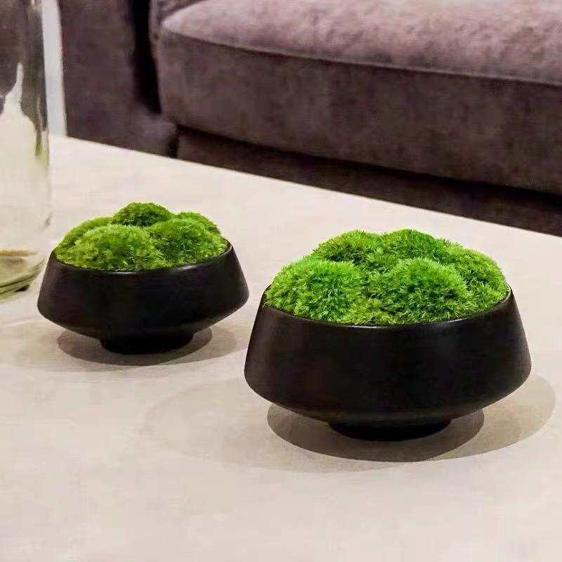 观永生苔盆藓景盆栽仿植物真微景中式桌面花艺客厅玄关QAP前台摆
