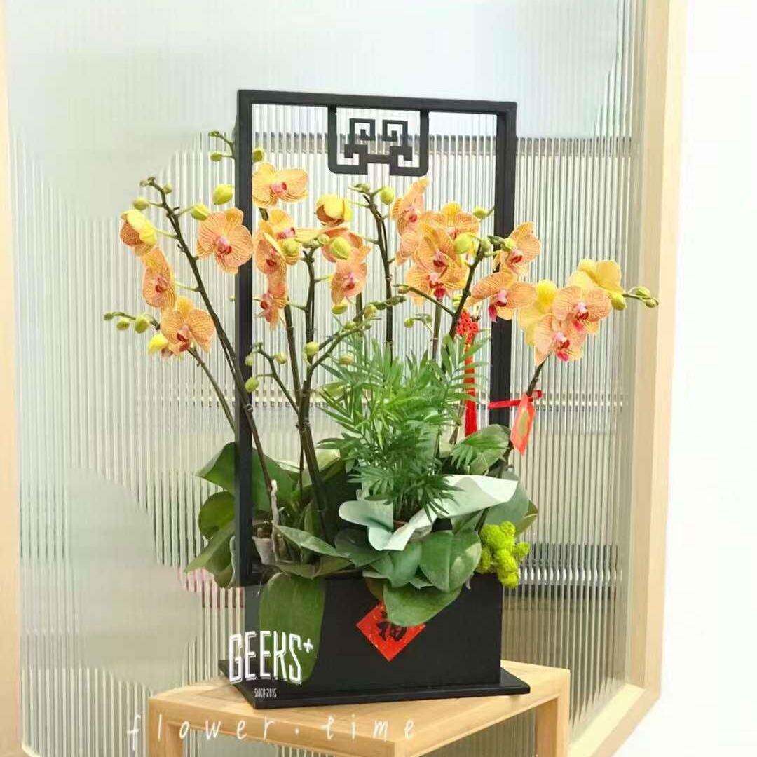 迪克森新式蝴蝶中兰花rbjj1218架仿真物花简约轻奢年宵盆花盆栽植