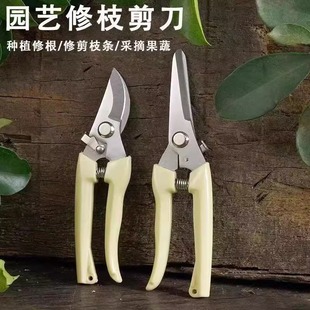 高效花艺修枝神器鲜花果树专用树剪树枝修剪条剪工具园林花艺剪子