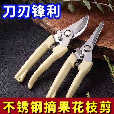 园艺剪园艺剪刀果树剪刀修枝神器剪花卉摘果剪树枝剪刀绿化嫁接