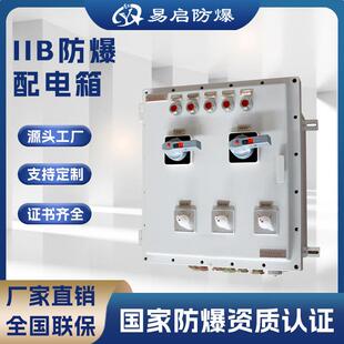 IIB防爆配电箱IIC防爆箱定制防爆控制箱厂家直销隔爆箱