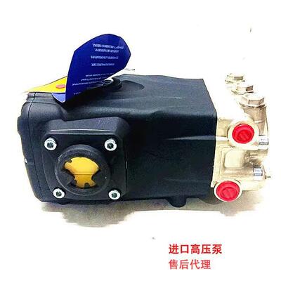 919A意大利R超压商用清洗机除锈剥树皮根雕家具高厂泵喷沙RG21.25