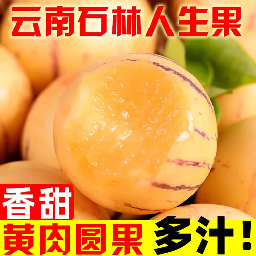 人参果新鲜云南石林现摘圆果人生果娃娃果七彩黄肉水果树上熟当季