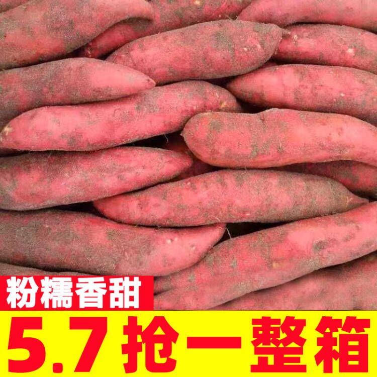 红薯正宗西瓜红蜜薯糖心新鲜