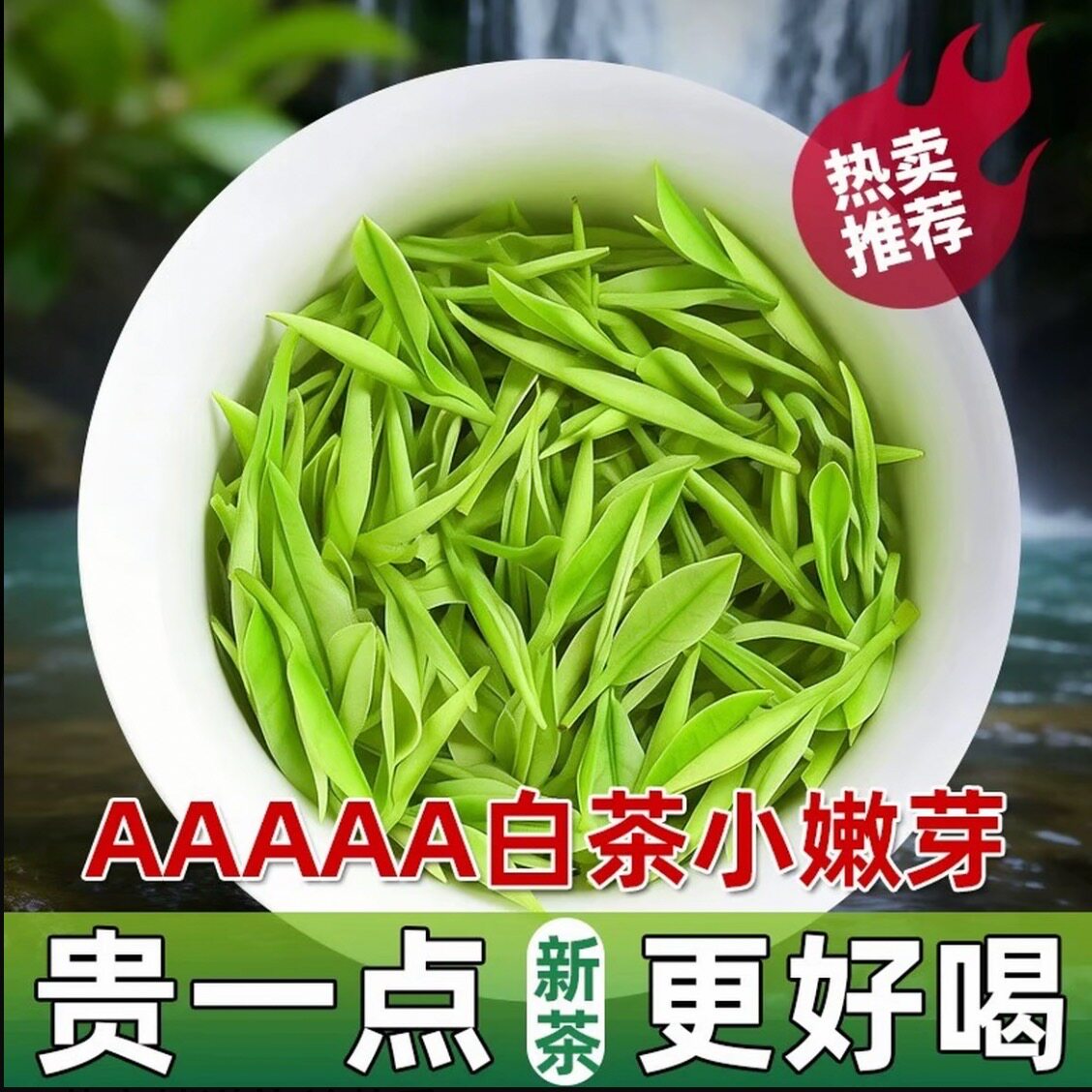 2026年新茶明前白茶茶叶绿茶头采正宗春茶250g罐装春季明前茶