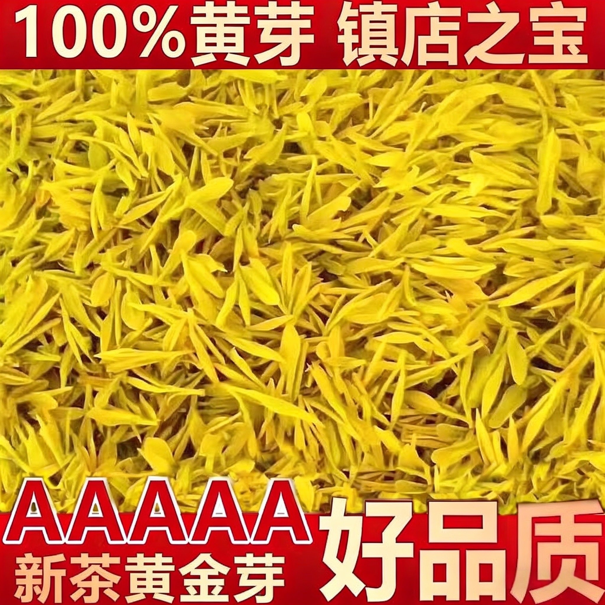 正宗黄金芽2026明前新茶特好黄金叶高山茶叶浓香型绿茶罐装500g