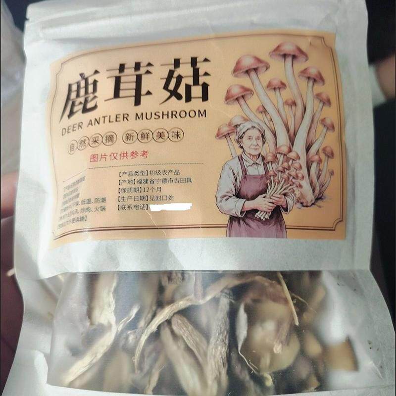 兰艺美精选鹿茸菇新货香菇干货无熏硫大个鹿耳菇52g煲汤商用