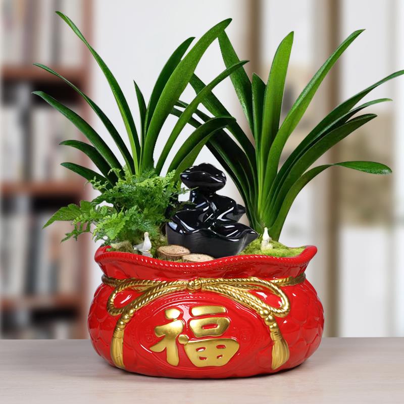 中式红福布袋陶瓷仿古特大号花盆客厅发财树金钱树虎皮兰花卉盆栽