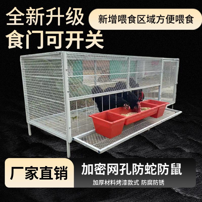 鸡笼家用室外防黄鼠狼饲养笼铁丝网鸽子鸭兔不锈钢芦丁鸡密养殖笼