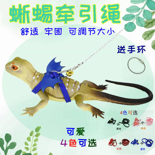 蜥蜴牵引绳溜鬃狮绿鬣爬虫宠小中型沙漠蜥外出牵引带蜥蜴溜溜绳子
