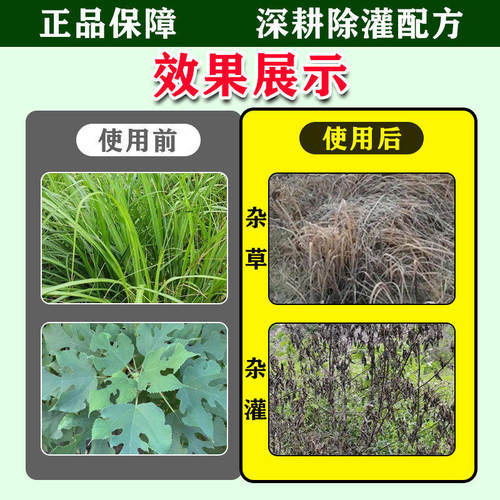 【正品】家清用品竹树草喷剂