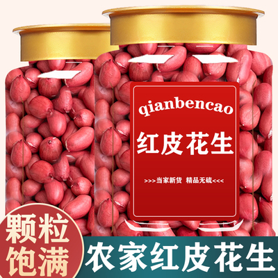 农家现货红皮花生新鲜花生仁