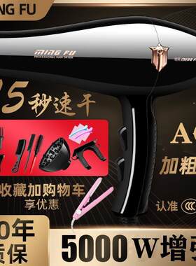 吹头发吹风机强力大功率5000家用30000理发店超大风8000发廊专用w