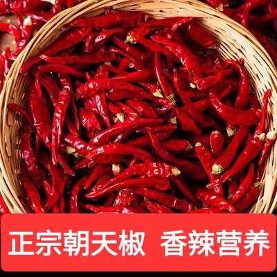 特辣干椒微香魔鬼商用批发