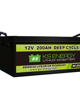 Customd 12V 24V LiFepo4 lithium battery 100Ah 200AH battery