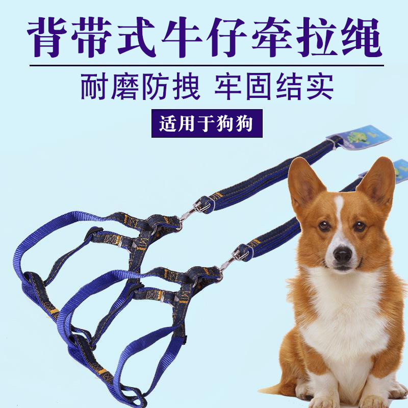 狗狗背带牵引绳中型犬牛仔狗项圈狗链子绳子防咬泰迪牵引绳小型犬