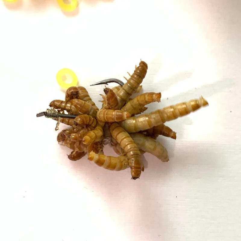 江钓上饵器专用绑红虫面包虫蚂蟥水蛭蛆虫钓鲶鱼草鱼小配件挤压式